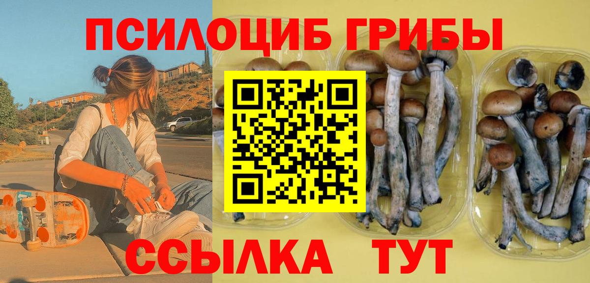 Псилоцибиновые грибы ЛСД  Вход с VPN  Среднеуральск 